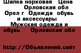 Шапка норковая › Цена ­ 1 000 - Орловская обл., Орел г. Одежда, обувь и аксессуары » Мужская одежда и обувь   . Орловская обл.